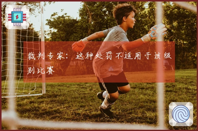 裁判专家：这种处罚不适用于该级别比赛