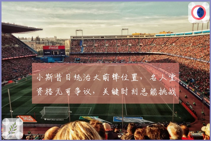 小斯昔日统治大前锋位置，名人堂资格无可争议，关键时刻总能挑战邓肯